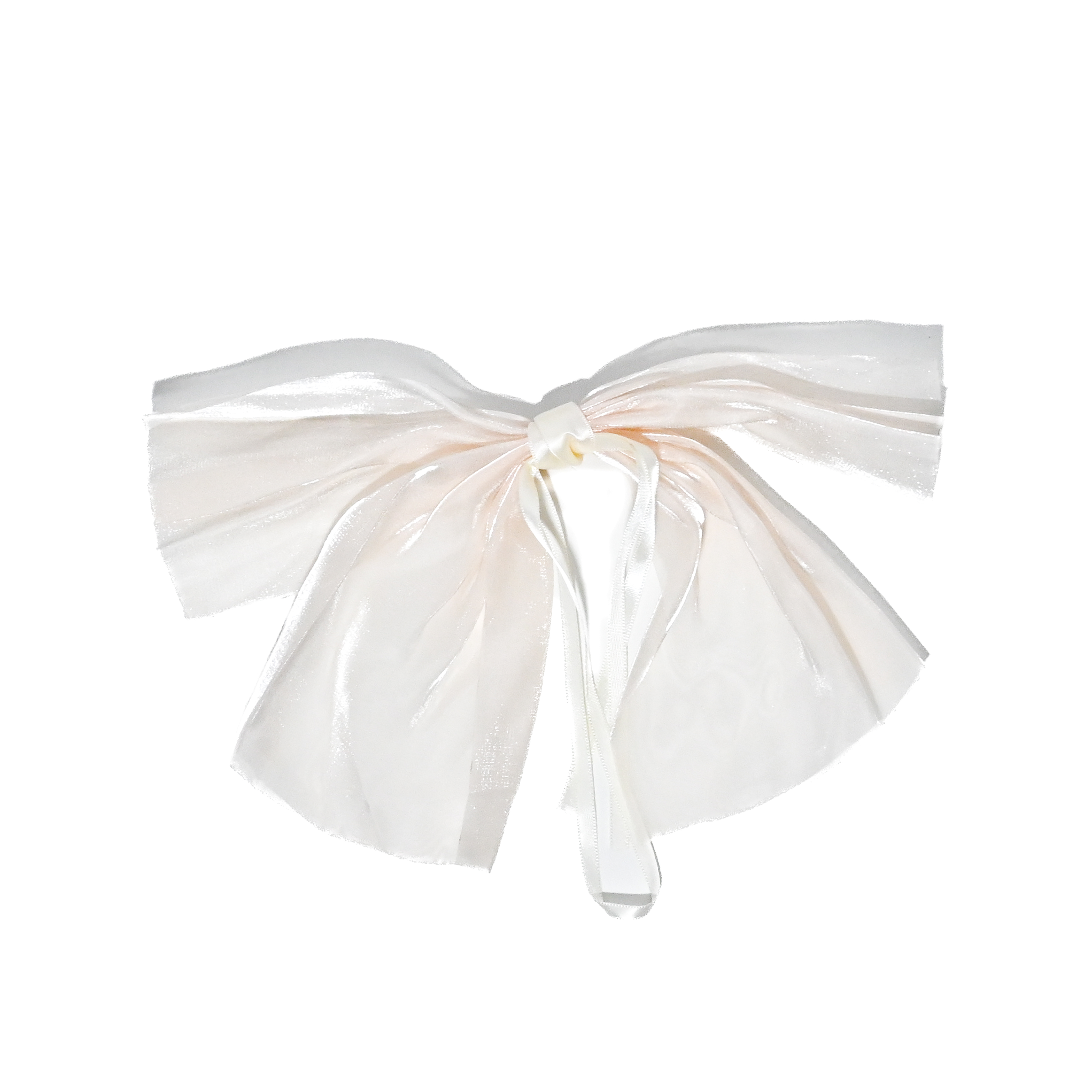 Sheer Bow Hair Clip – Assorted Colours