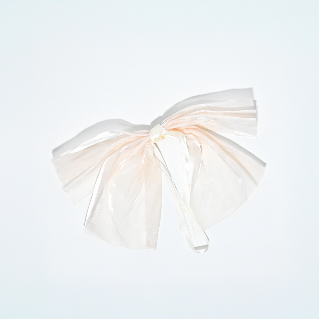 Sheer Bow Hair Clip – Assorted Colours