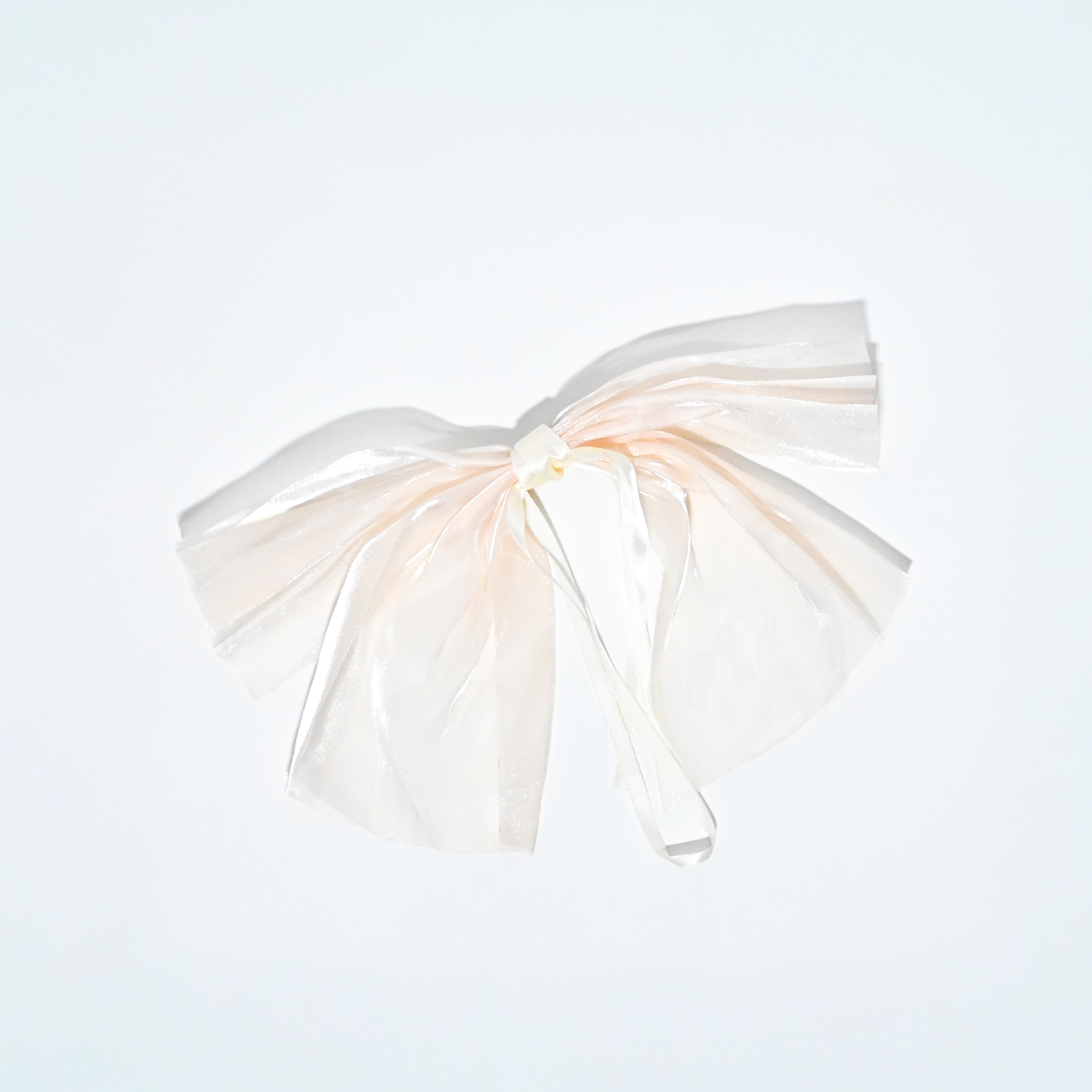 Sheer Bow Hair Clip – Assorted Colours