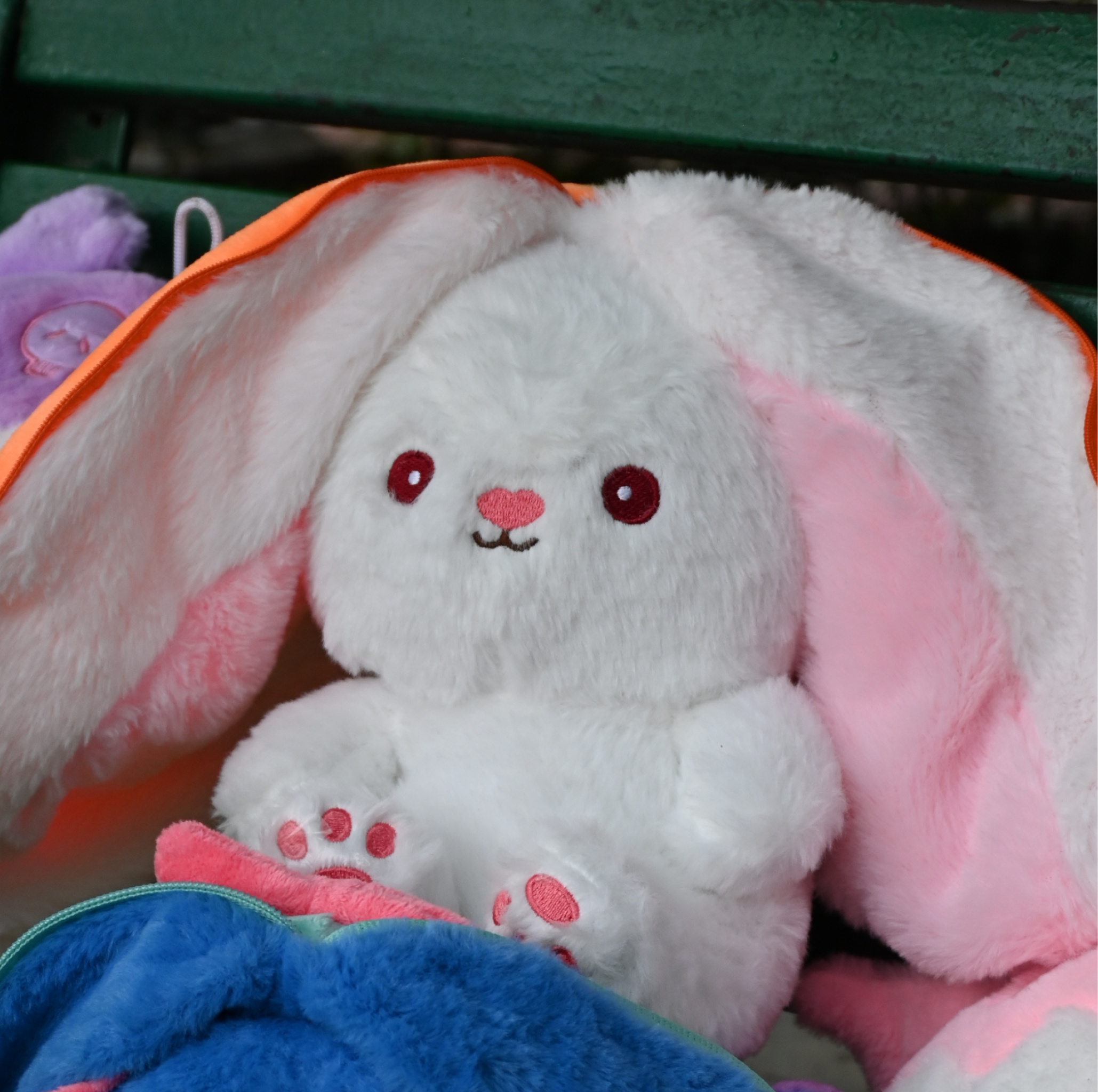 Kawaii Bunny Plush with Carrot Pouch – 10 Inch Cute Soft Toy